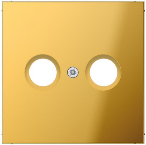 Лицевая панель Jung LS990 metal для 2-м. розетки TV+R золото фото Лицевая панель Jung LS990 metal для 2-м. розетки TV+R золото картинка